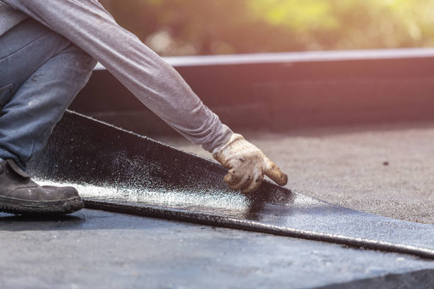 Professional Interior Drainage System technician working in Palmyra, MI